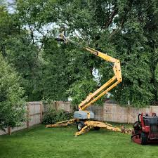 How Our Tree Care Process Works  in  Shepherd, TX